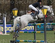 Whitacker G Wesselton TosTour 2013- S4 6646 : Arezzo Equestrian Centre, Toscana Tour 2013, Wesselton M, Whitacker George, foto di Stefano Secchi ©